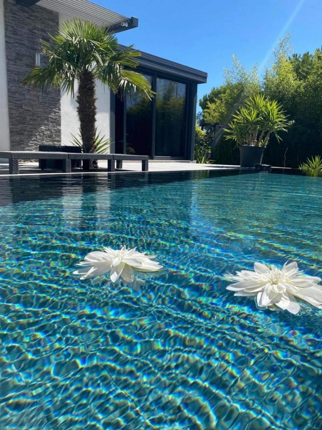 Mon Petit Bali Acomodação com café da manhã Maussane les Alpilles Exterior foto